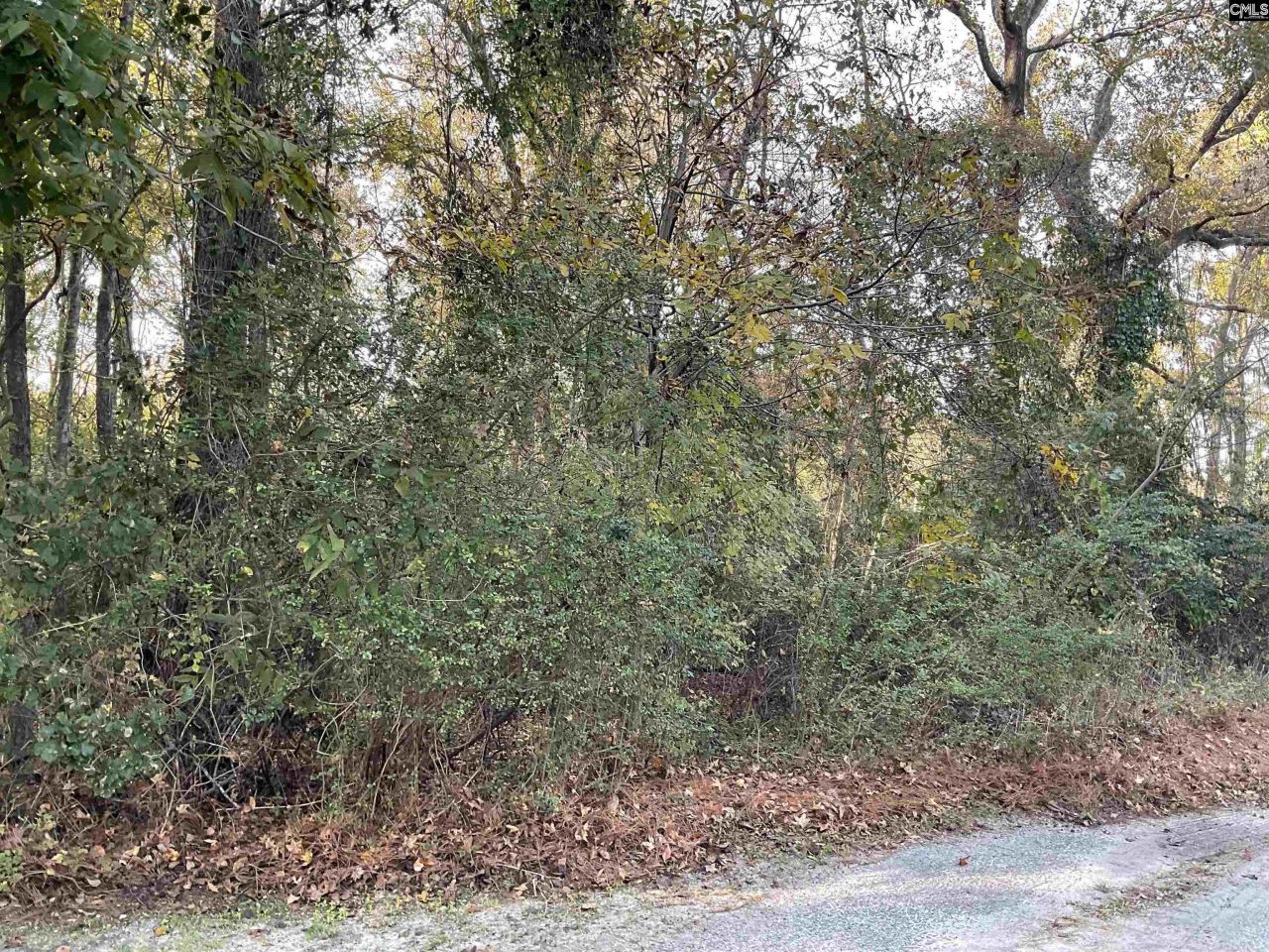 3551 Moonlight Road Photo 6