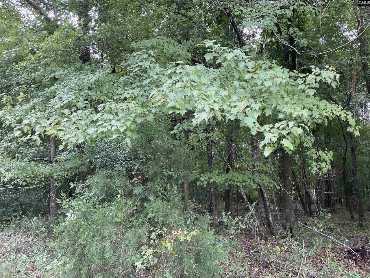 3551 Moonlight Road Photo 7