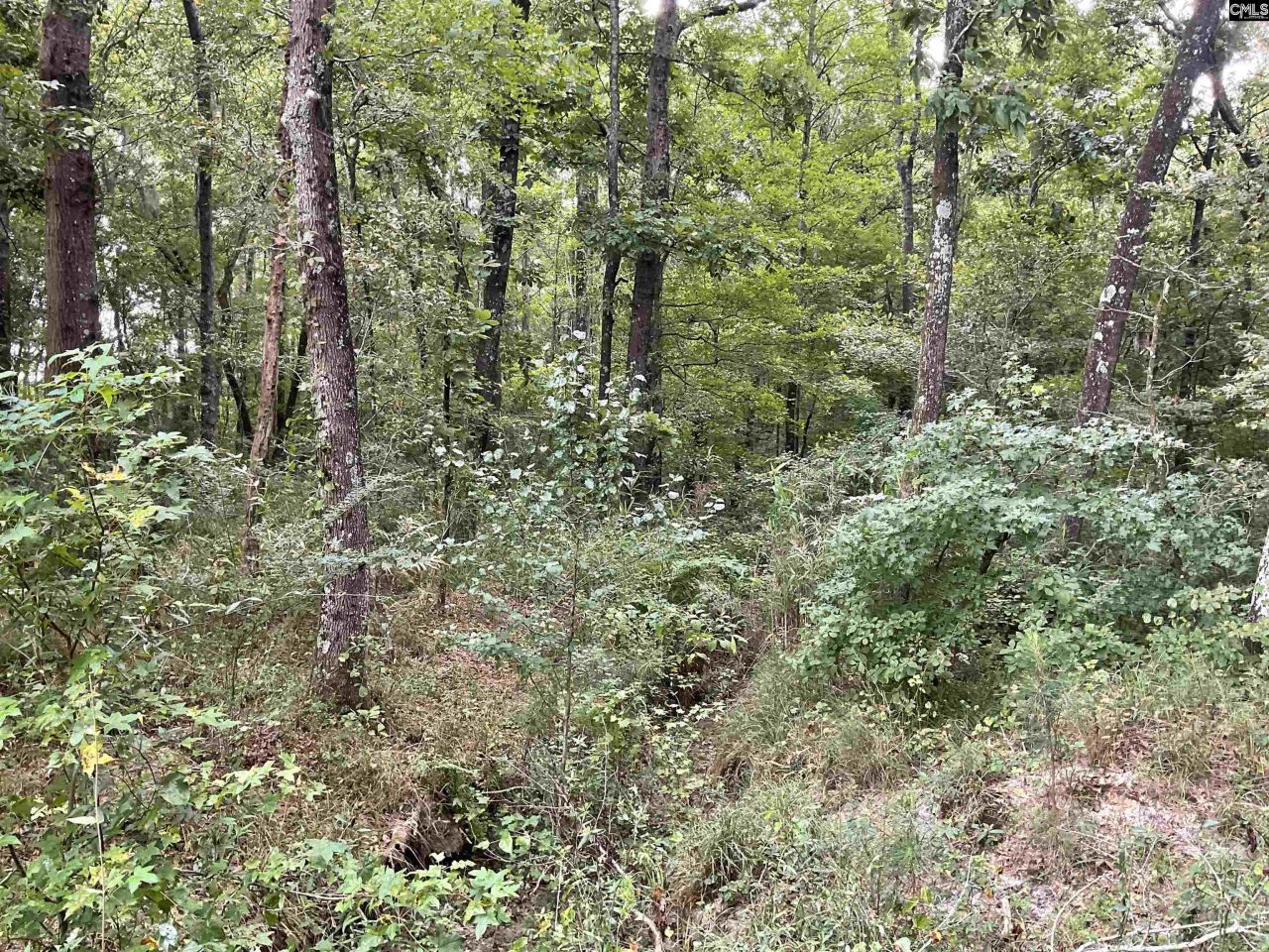 3551 Moonlight Road Photo 8