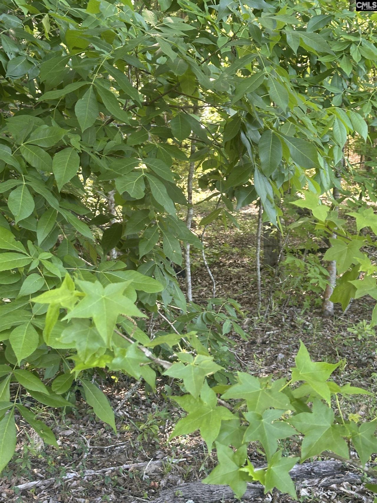 3551 Moonlight Road Photo 9