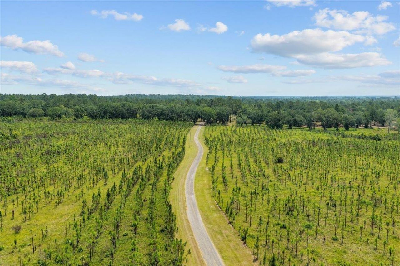 1706 NW Radford Denson Road, Greenville, FL 32331 Photo