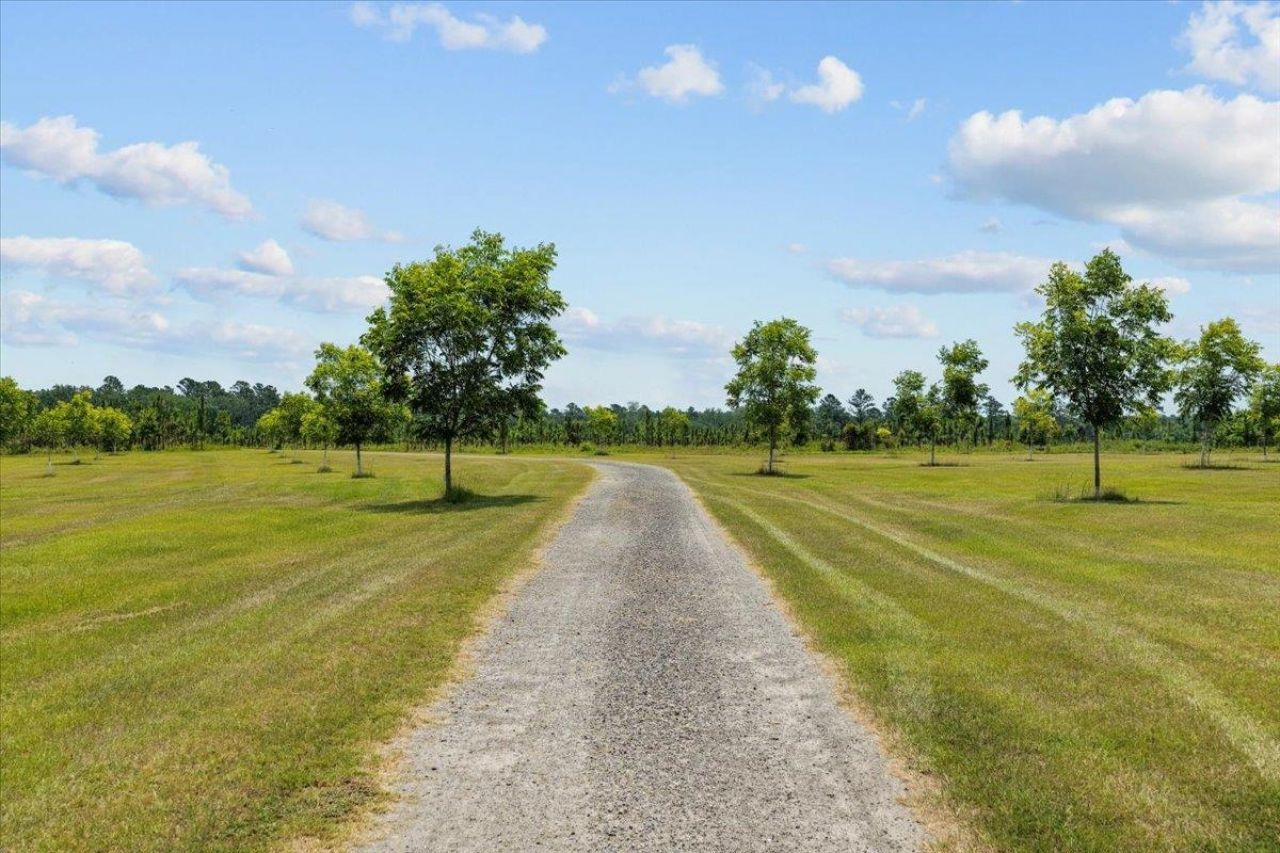 1706 NW Radford Denson Road, Greenville, FL 32331 Photo