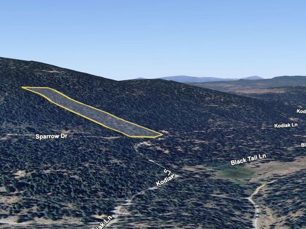 NKA Kodiak Lane, Unit 9, Bonanza, OR 97623