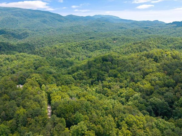 1618 Walnut Flats Rd, Walland, TN 37886