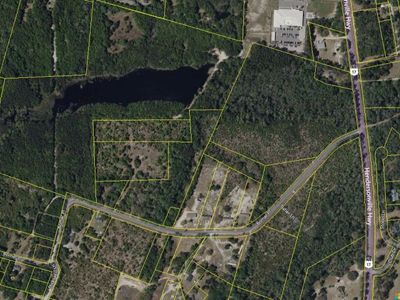 O Cobb Ct Interior Parcel, Walterboro, SC 29488