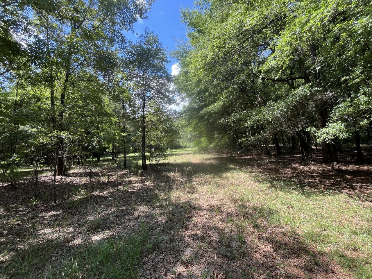 O Cobb Ct Interior Parcel Photo 4