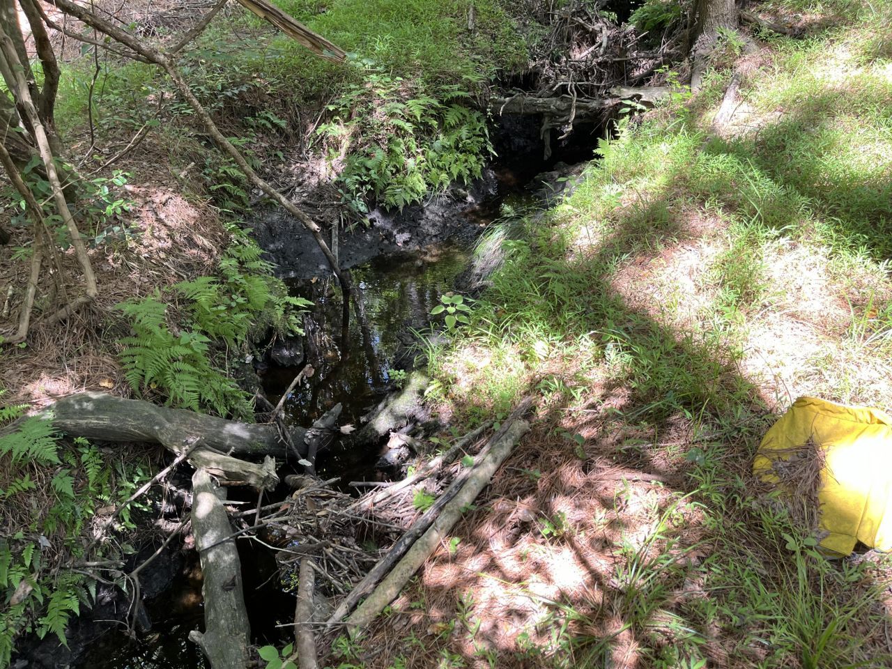 O Cobb Ct Interior Parcel Photo 5