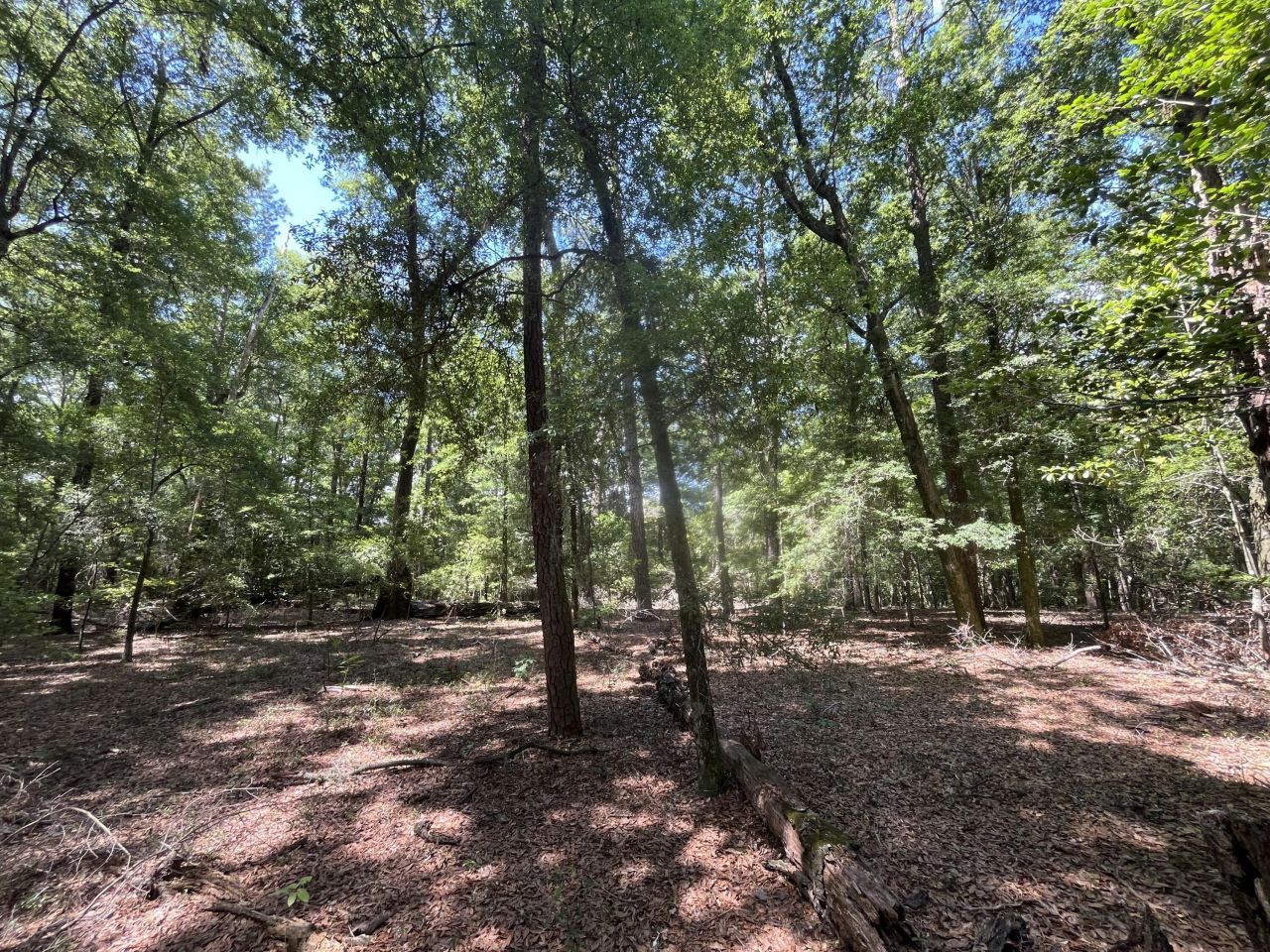 O Cobb Ct Interior Parcel Photo 8