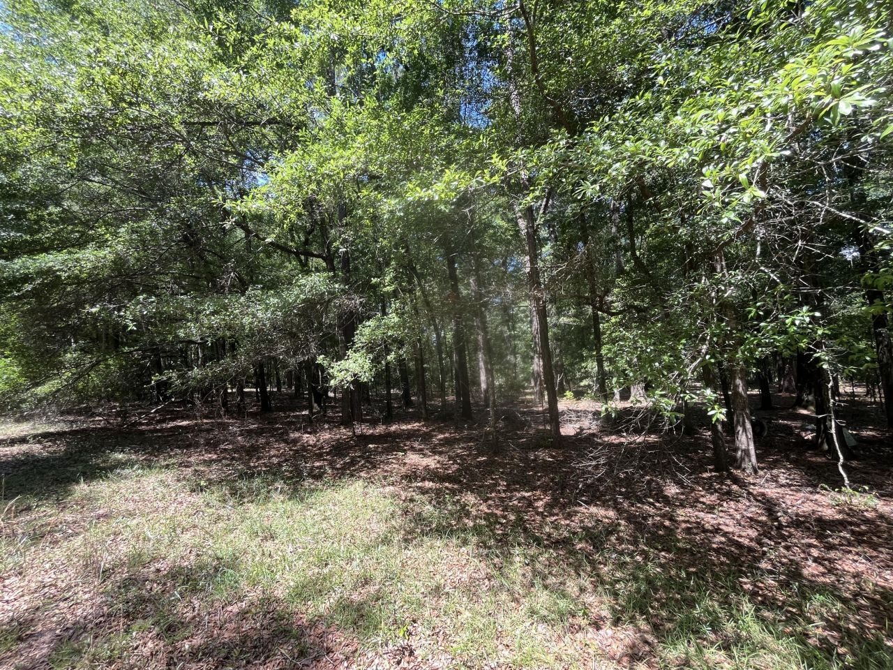 O Cobb Ct Interior Parcel Photo 9