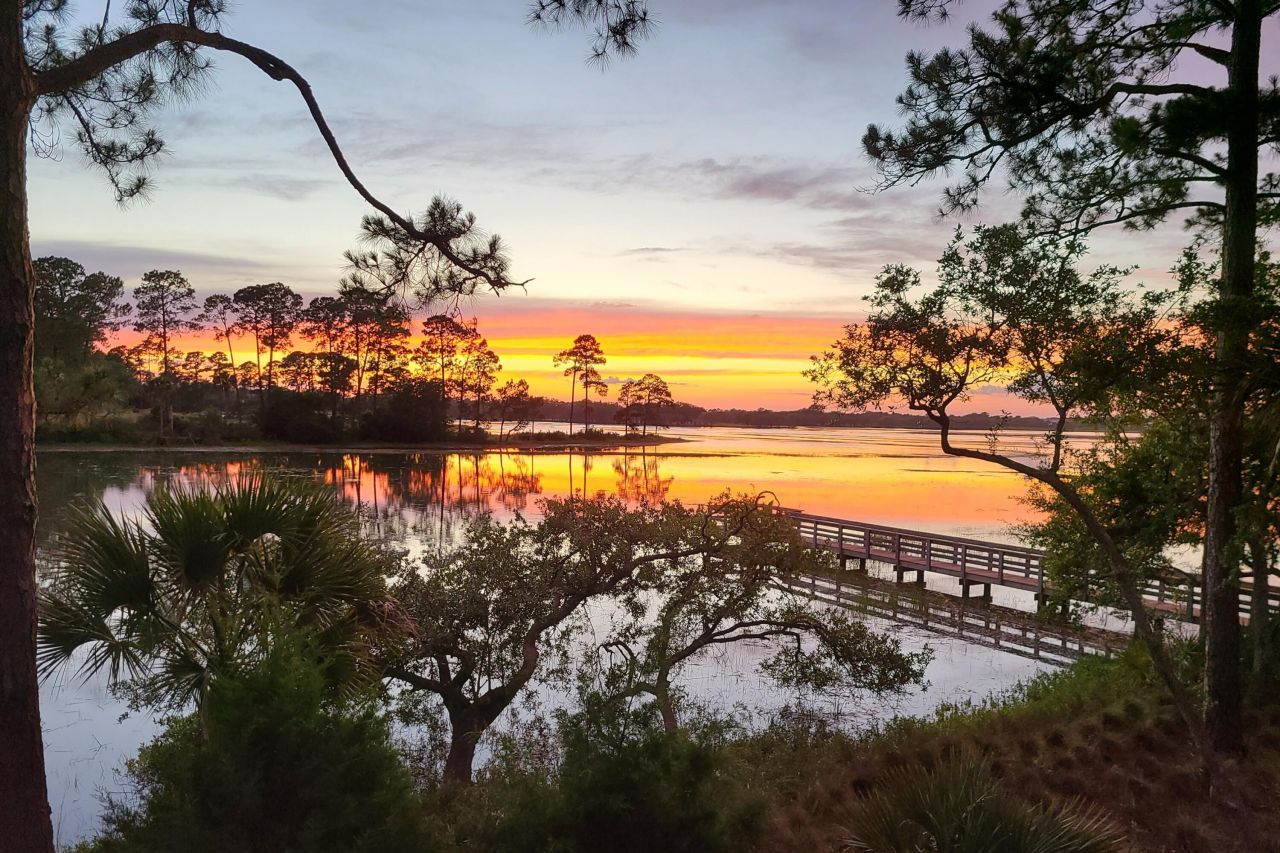 79 Trailing Vine Way Photo 104