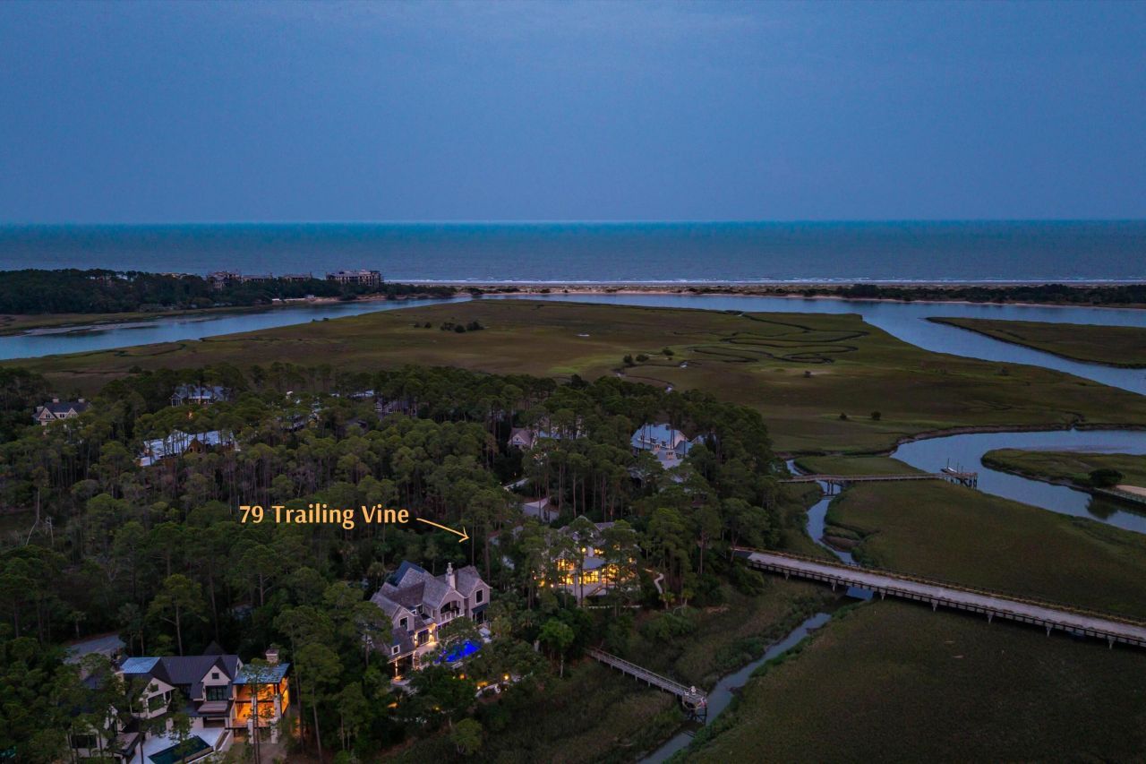 79 Trailing Vine Way Photo 107