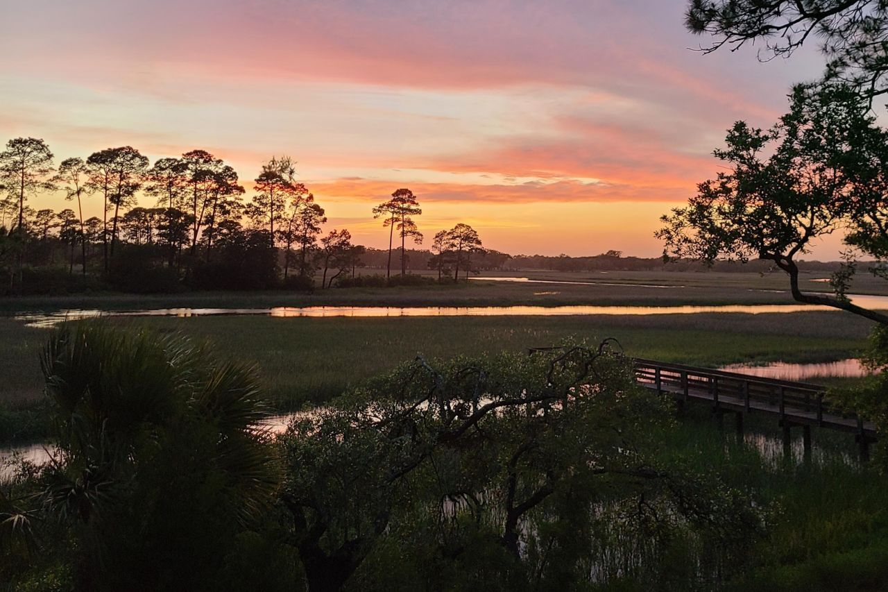 79 Trailing Vine Way Photo 11