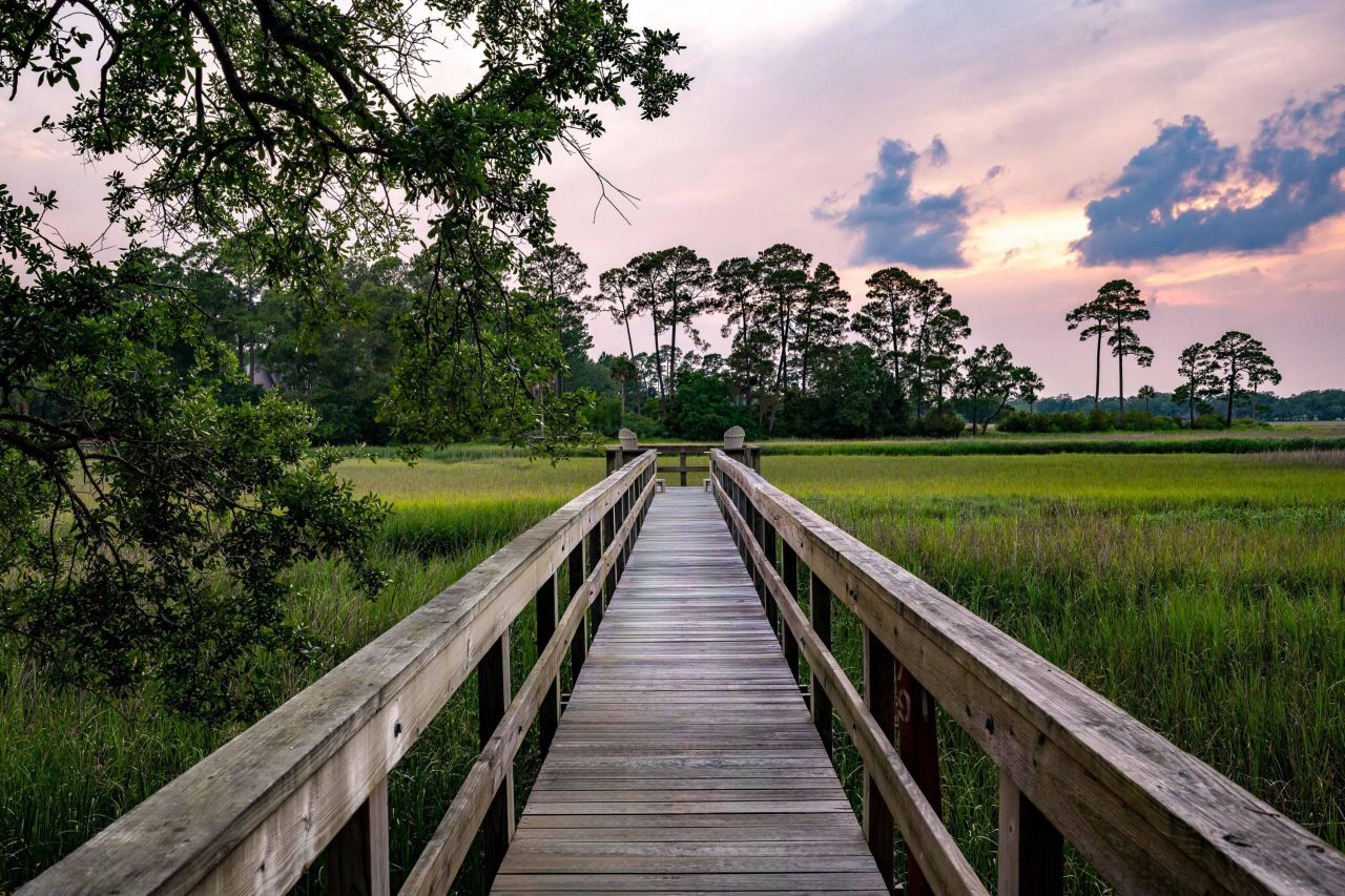 79 Trailing Vine Way Photo 14