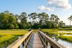 79 Trailing Vine Way photo 4