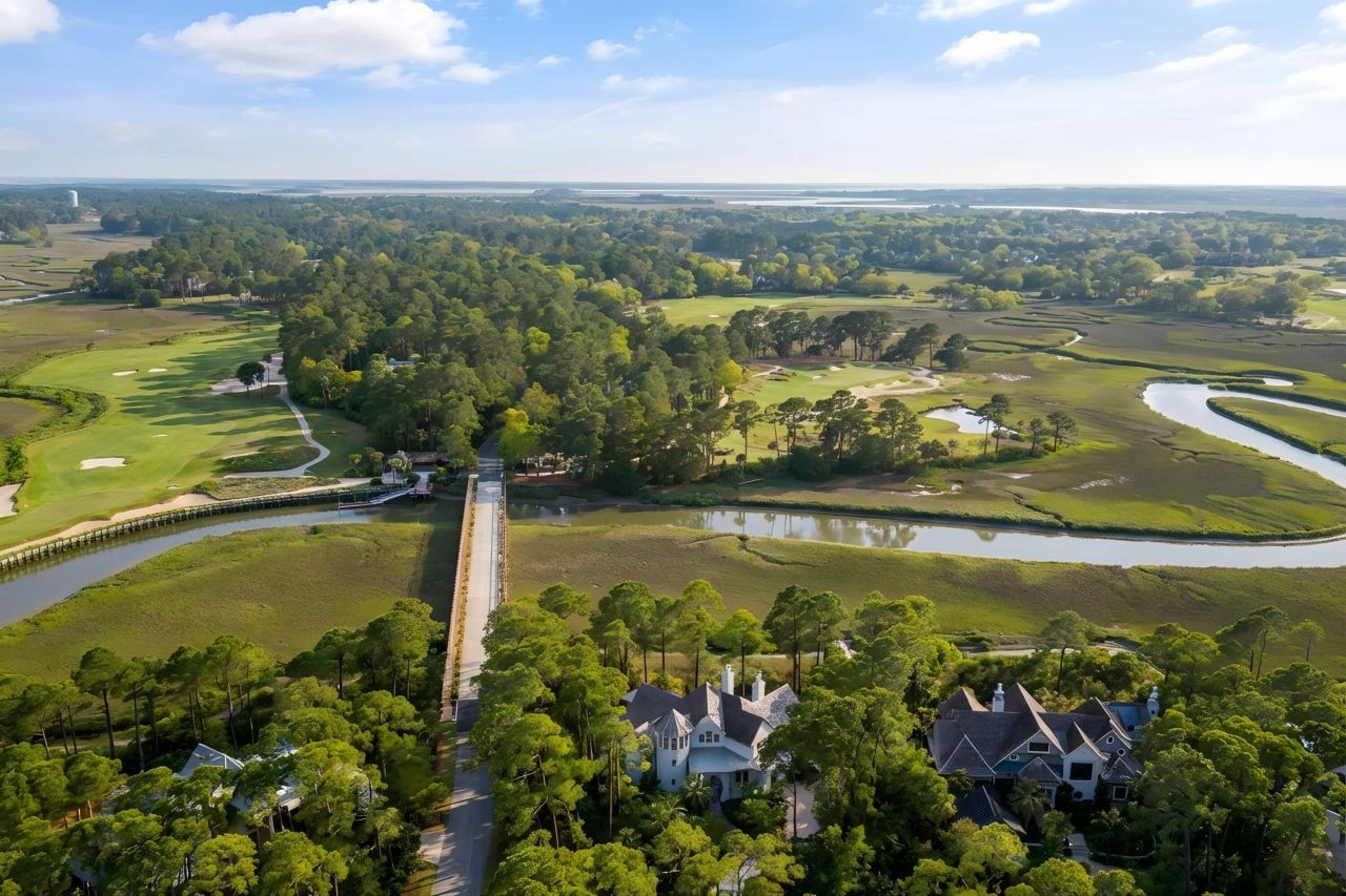 79 Trailing Vine Way Photo 4