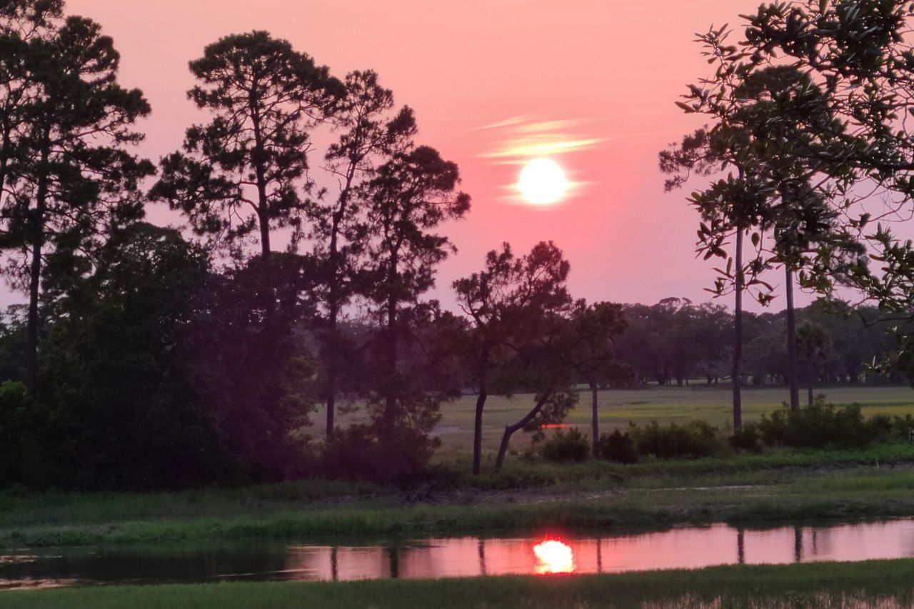 79 Trailing Vine Way Photo 92