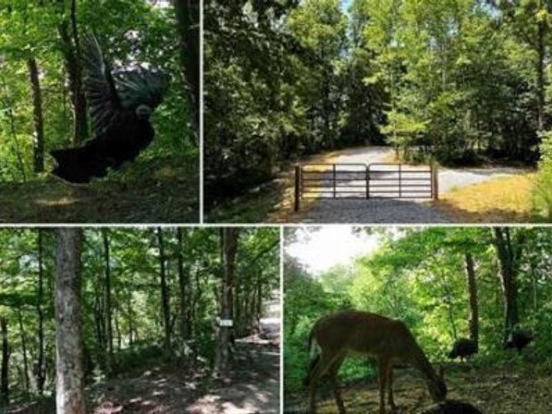 32964 Parkinson Road, Unit (Tract 6 a, Langsville, OH 45741 Photo 1