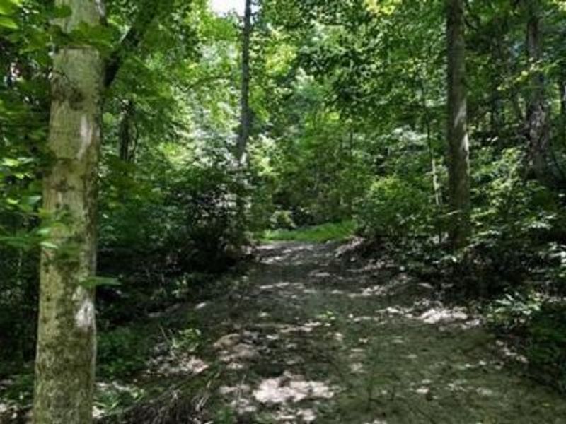 32964 Parkinson Road, Unit (Tract 6 a, Langsville, OH 45741 Photo 10