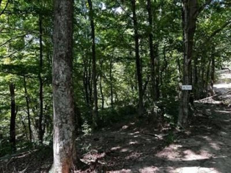 32964 Parkinson Road, Unit (Tract 6 a, Langsville, OH 45741 Photo 11