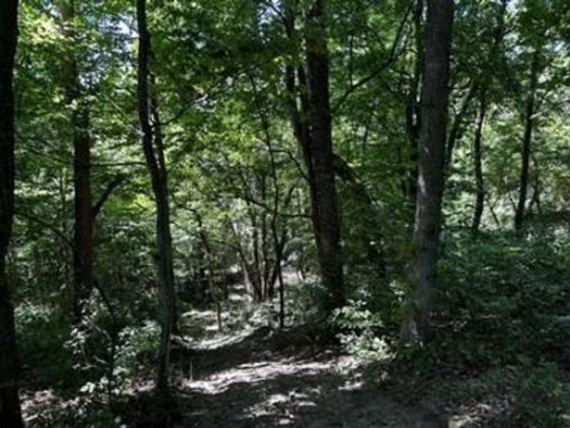 32964 Parkinson Road, Unit (Tract 6 a, Langsville, OH 45741 Photo 12