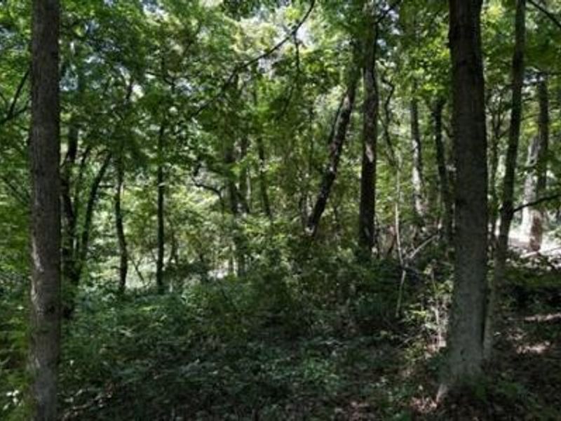 32964 Parkinson Road, Unit (Tract 6 a, Langsville, OH 45741 Photo 13