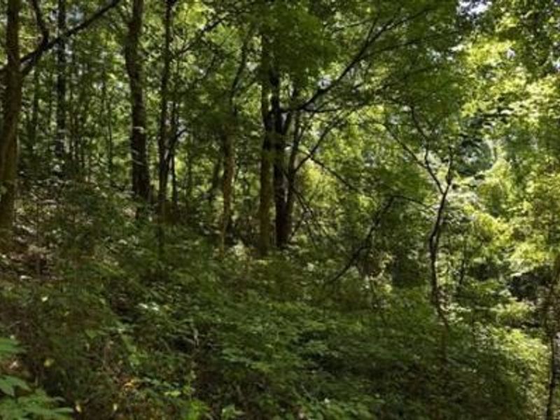 32964 Parkinson Road, Unit (Tract 6 a, Langsville, OH 45741 Photo 14