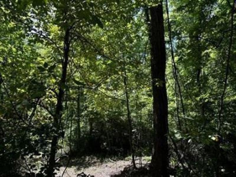 32964 Parkinson Road, Unit (Tract 6 a, Langsville, OH 45741 Photo 16