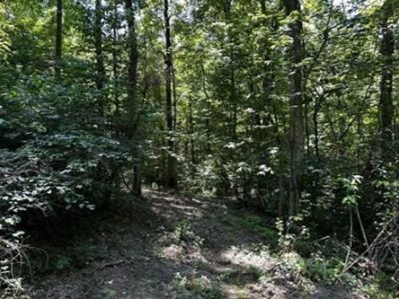 32964 Parkinson Road, Unit (Tract 6 a, Langsville, OH 45741 Photo 17