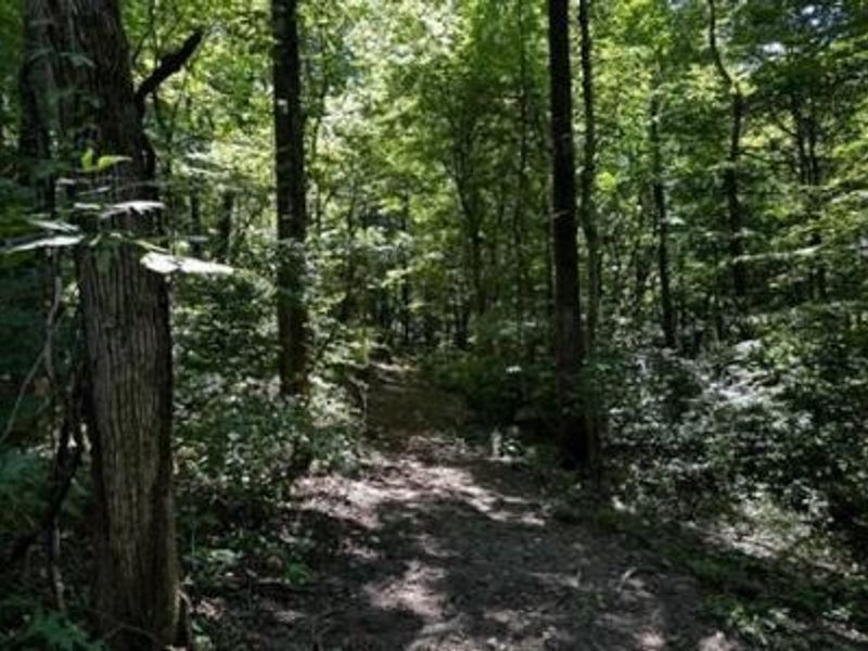 32964 Parkinson Road, Unit (Tract 6 a, Langsville, OH 45741 Photo 18