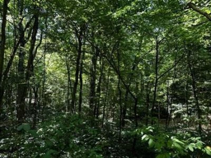 32964 Parkinson Road, Unit (Tract 6 a, Langsville, OH 45741 Photo 19