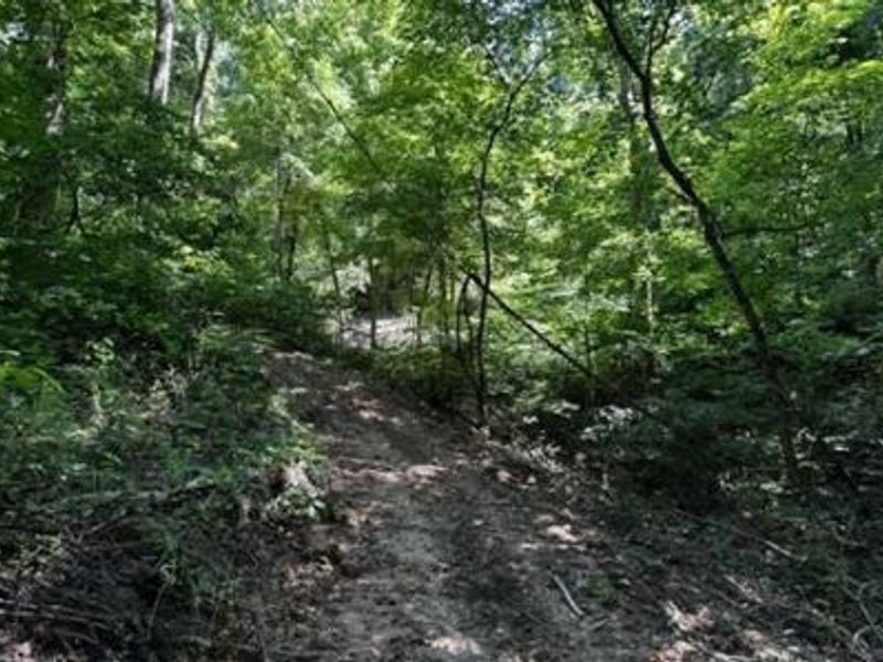 32964 Parkinson Road, Unit (Tract 6 a, Langsville, OH 45741 Photo 21