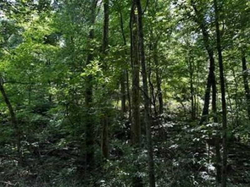 32964 Parkinson Road, Unit (Tract 6 a, Langsville, OH 45741 Photo 22