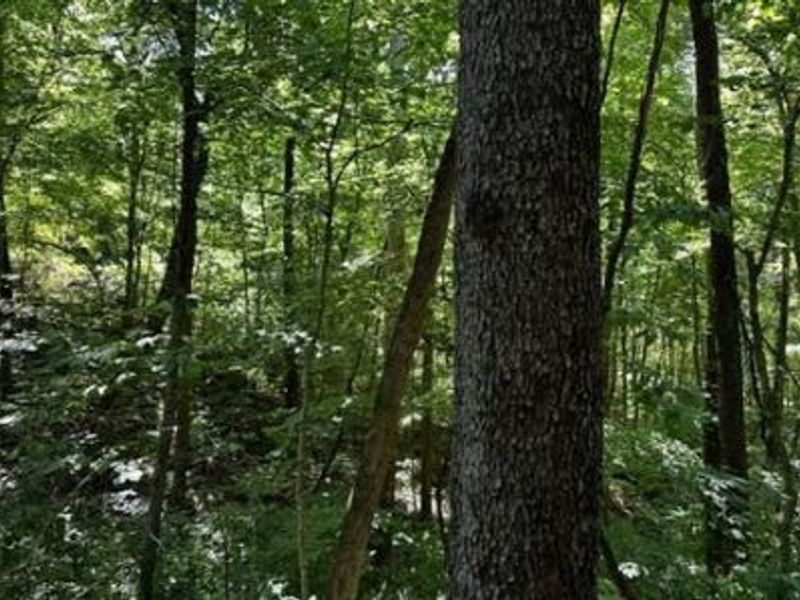 32964 Parkinson Road, Unit (Tract 6 a, Langsville, OH 45741 Photo 23