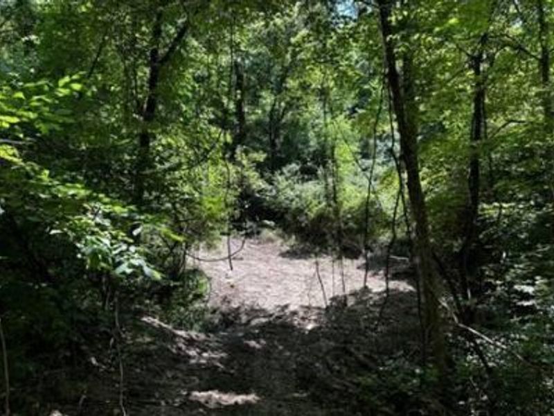 32964 Parkinson Road, Unit (Tract 6 a, Langsville, OH 45741 Photo 25