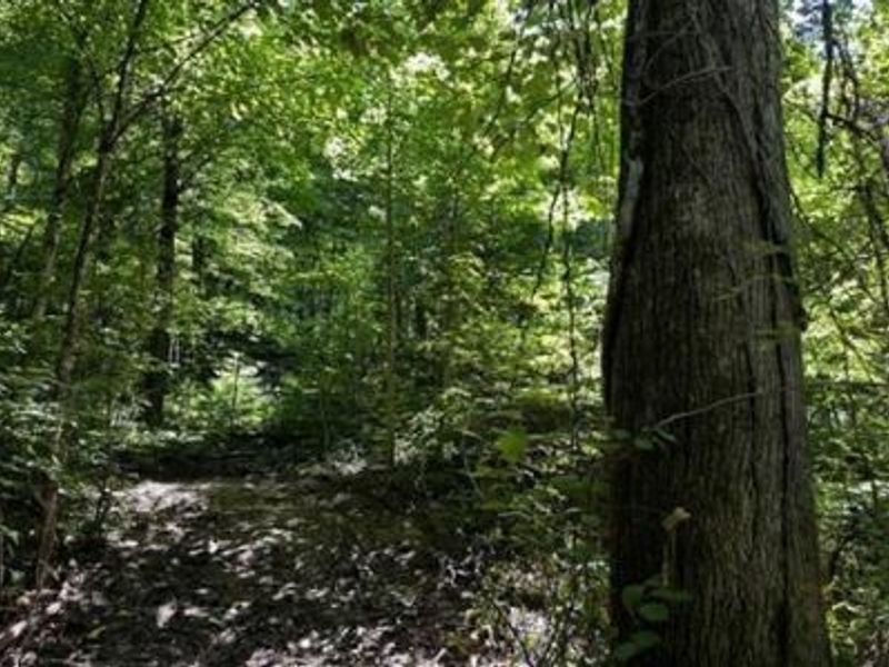 32964 Parkinson Road, Unit (Tract 6 a, Langsville, OH 45741 Photo 26