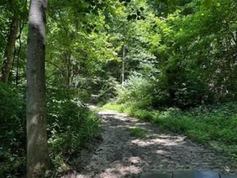 32964 Parkinson Road, Unit (Tract 6 a, Langsville, OH 45741 Photo 28