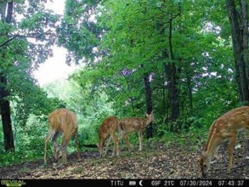 32964 Parkinson Road, Unit (Tract 6 a, Langsville, OH 45741 Photo 3