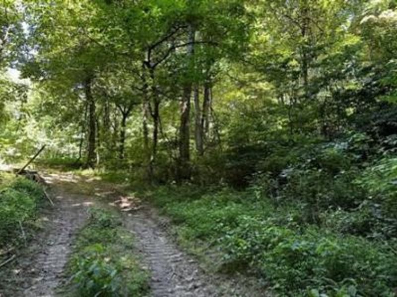 32964 Parkinson Road, Unit (Tract 6 a, Langsville, OH 45741 Photo 30