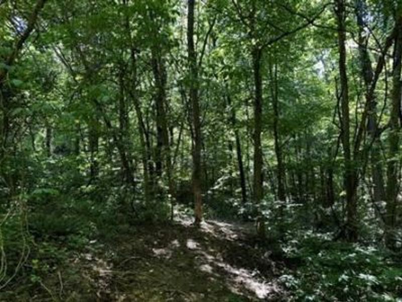 32964 Parkinson Road, Unit (Tract 6 a, Langsville, OH 45741 Photo 9