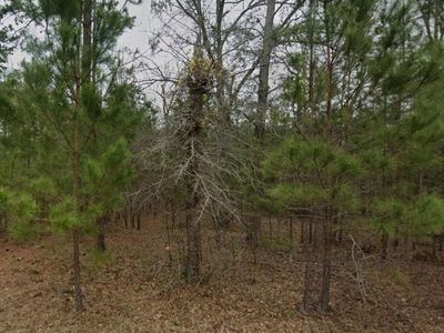 2762 Myrtle Drive, Orangeburg, SC 29115