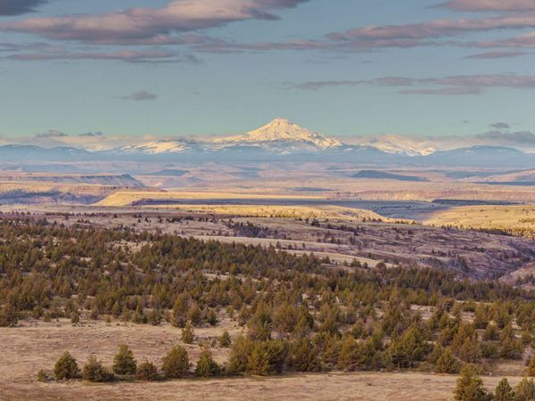 12230 NE Hwy 97, Madras, OR 97741