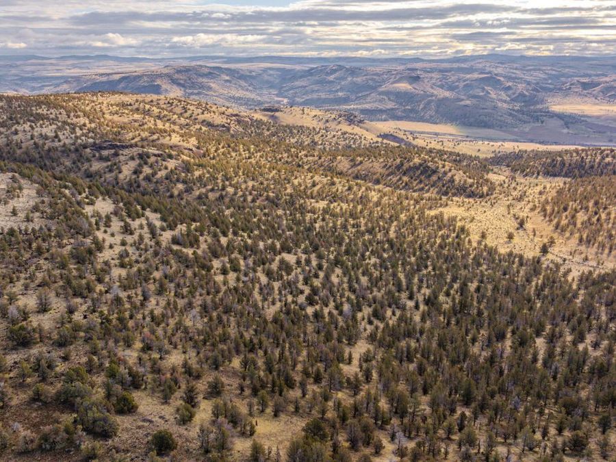 Property Image 129