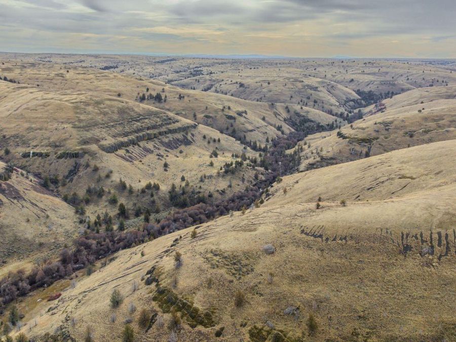 Property Image 78
