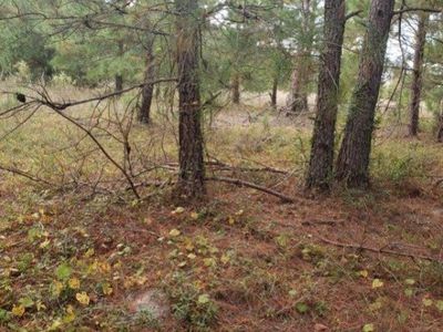 808 Lakeside View Lane, Orangeburg, SC 29115