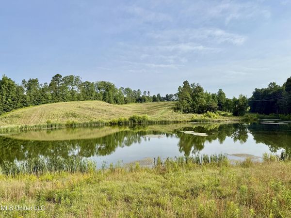 385 Albert Mcmillin Road, Louisville, MS 39339