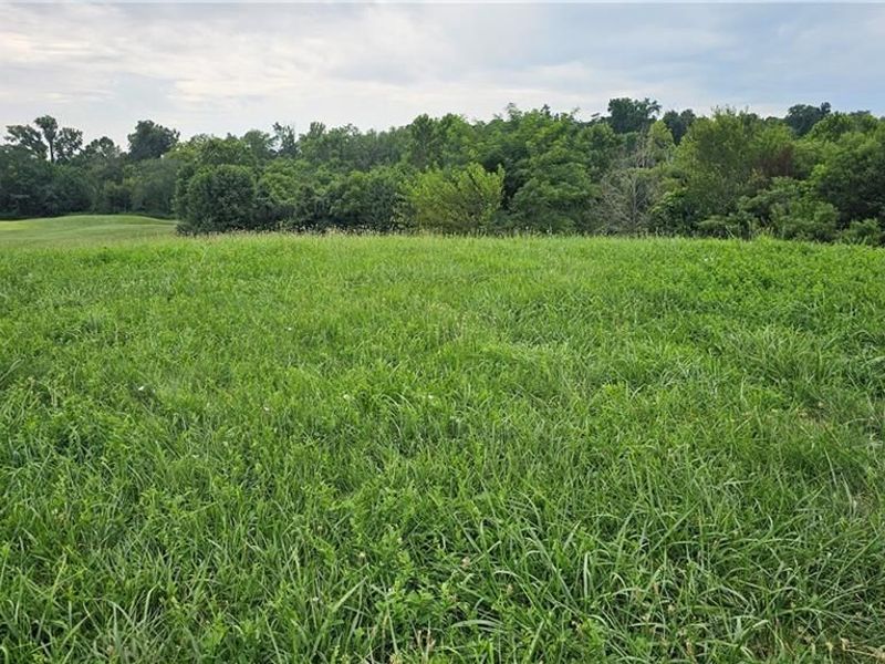 0 Wentworth Way, Clayton, OH 45315 Photo 8