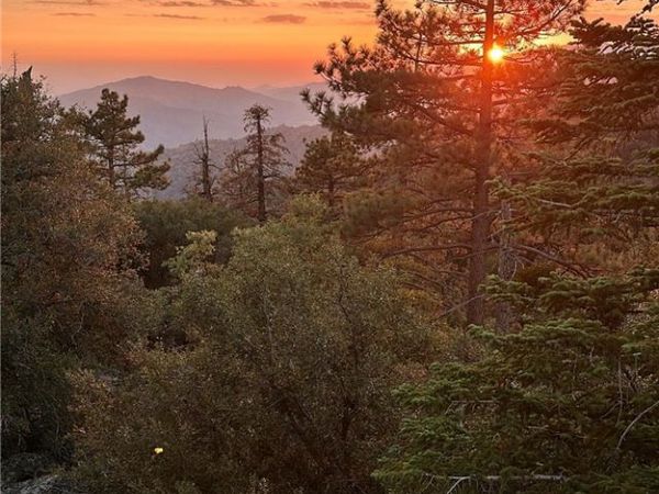 15331006 Mountain Meadow Road, Caliente, CA 93518