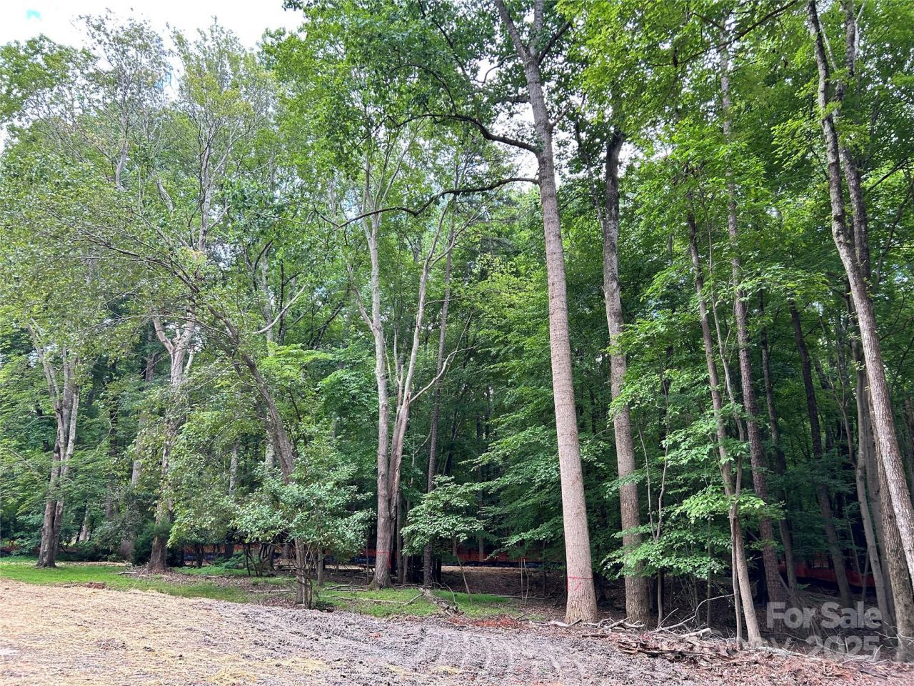 3415 Lakeside Drive, Charlotte, NC 28270 Main Photo