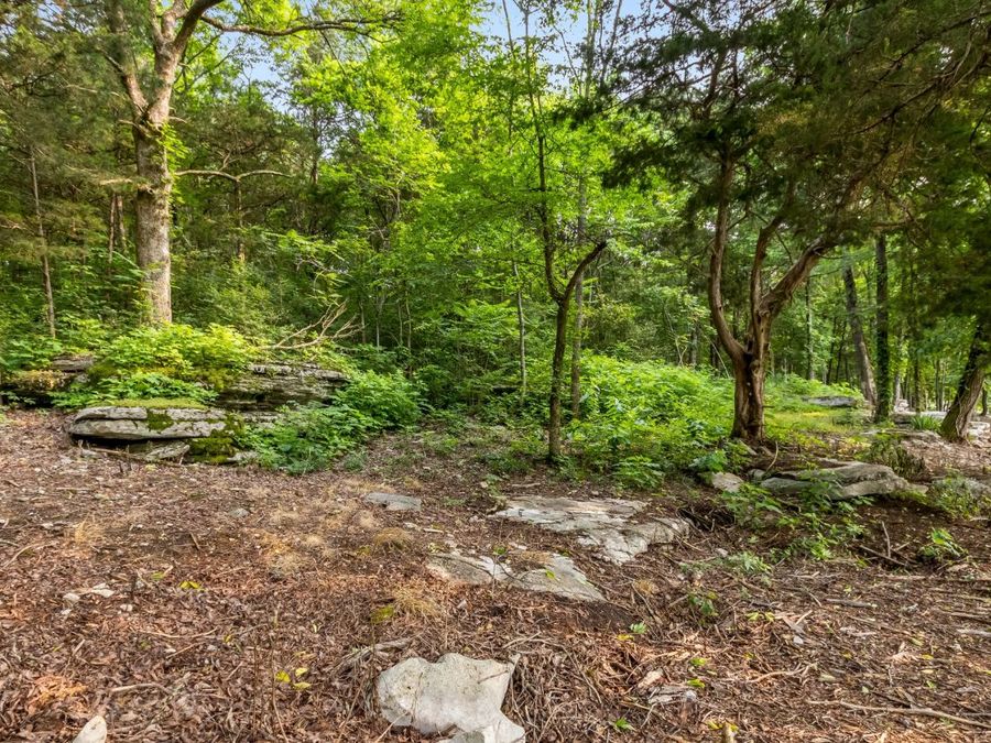Property Image 85