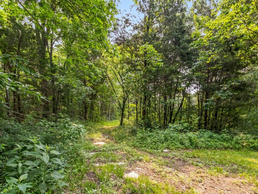 Property Image 94